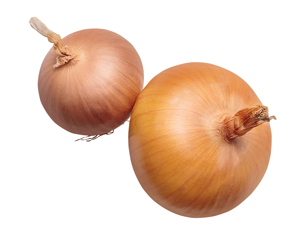 onions png, onions png image, onions transparent png image, onions png full hd images download